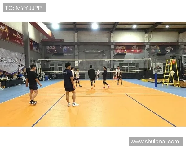 杭州排球队逆袭之路欧锦赛特别报道见证辉煌时刻与团队精神